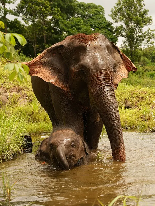 Knowhere Travels and tours. Knowwhere 2 Travel. Guided Sightseeing Tours Cambodia. Tailored Itineraries Cambodia. Group tour Cambodia. Private tour. Cambodia. Trusted Travel Partener in Cambodia. Group tour traveling in Cambodia. Ratanakiri tour. Moudulkiri tour.